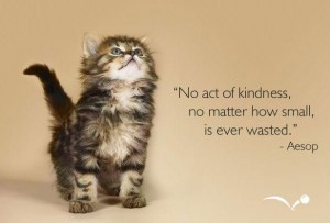 No-act-of-kindness-no-matther-how-small-is-ever-wasted-Meaningful-Picture-Quotes